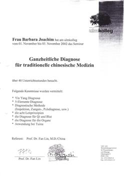 Ganzheitliche Diagnose fr traditionelle chinesische Medizin (TCM)